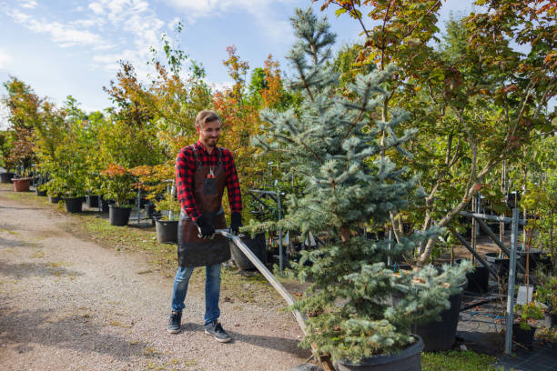 Best Lawn Watering Services  in USA